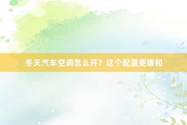 冬天汽车空调怎么开？这个配置更暖和