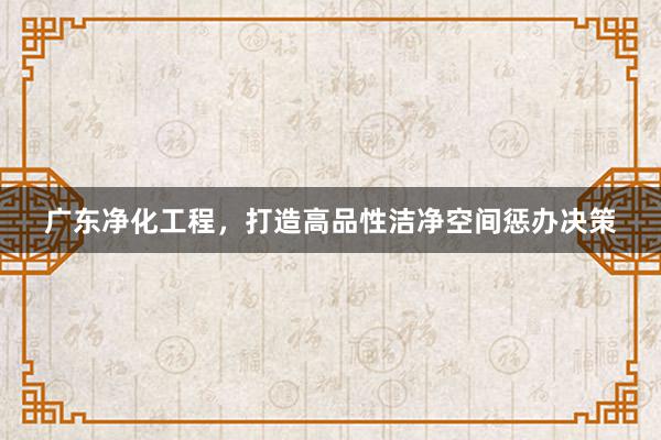 广东净化工程，打造高品性洁净空间惩办决策
